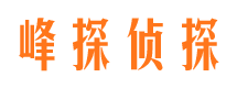 和布克赛尔侦探